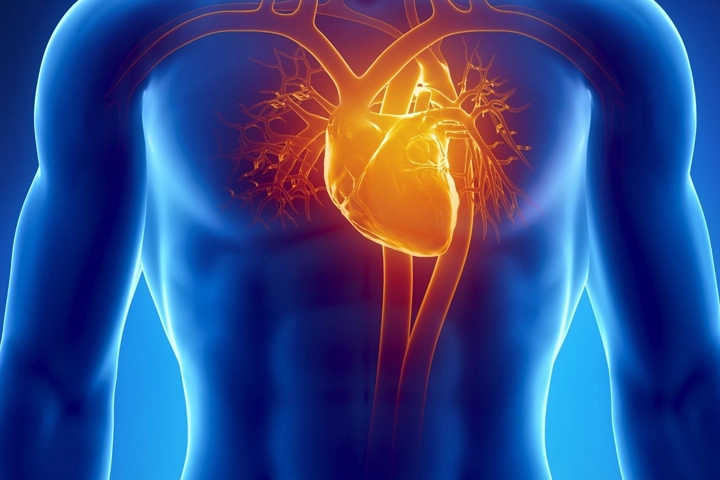 Alterações nas Válvulas Cardíacas